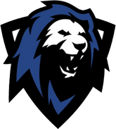 Team member image