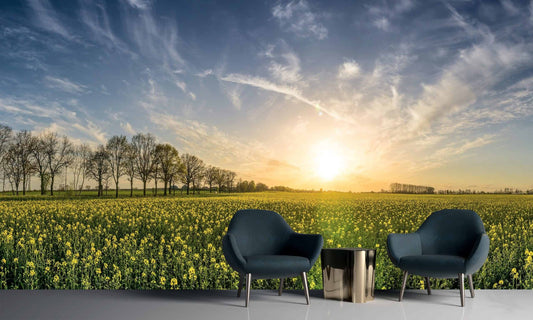 The Beauty of Removable Wall Murals in Interior Design