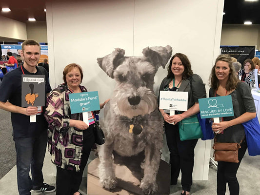 Customer Spotlight: Maddie’s Fund