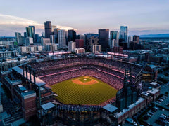 Ballpark Wall Mural