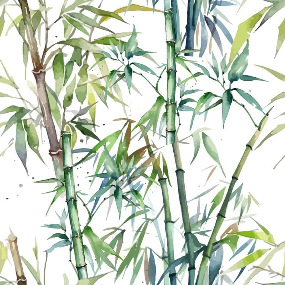 Bamboo Illustration Wall Mural