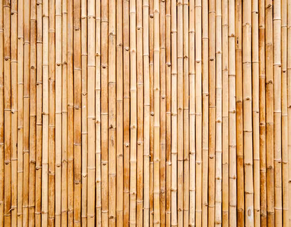 Bamboo Screen Wall Mural