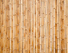 Bamboo Screen Wall Mural