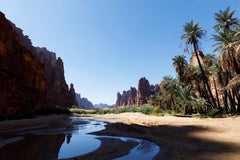 Canyon Beach Wall Mural