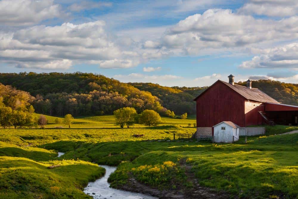Farmland Wall Mural
