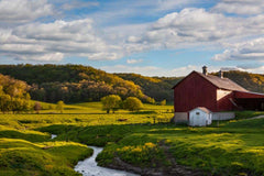 Farmland Wall Mural