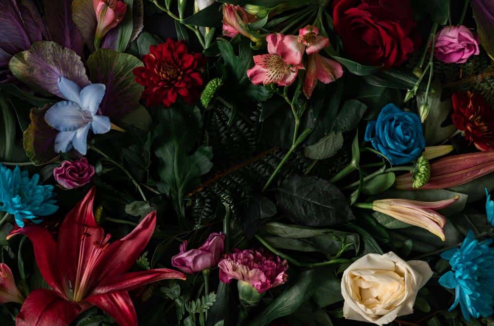 Floral Arrangement Wall Mural