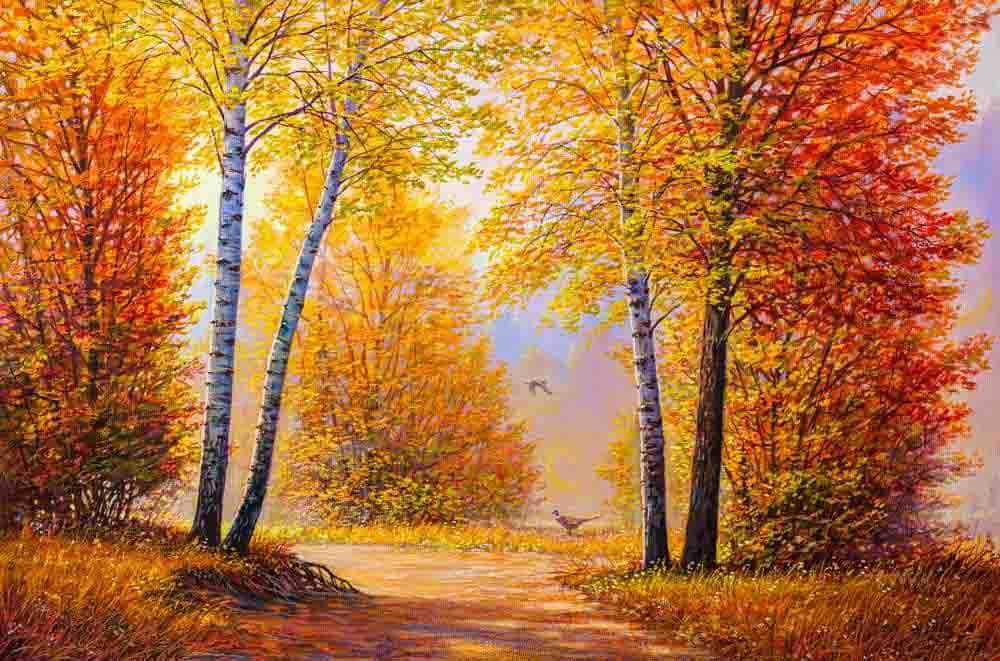 Forest Path Wall Decal