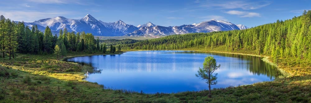 Mountain Lake Wall Mural