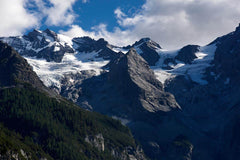 Mountainous Forest Wall Mural