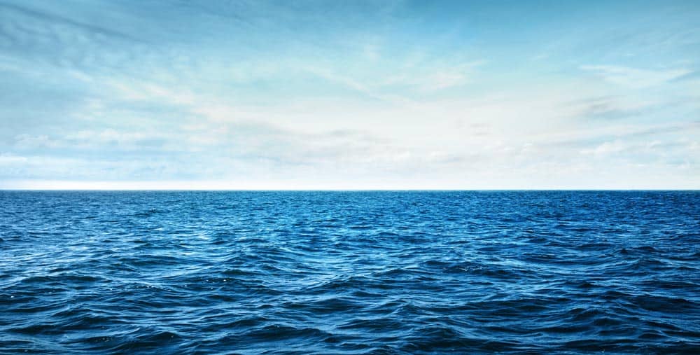 Open Ocean Wall Mural