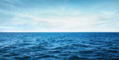 Open Ocean Wall Mural
