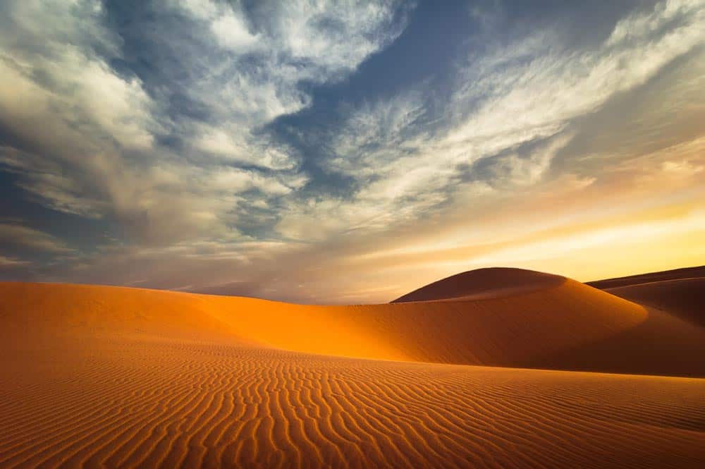 Peaceful Desert Wall Mural