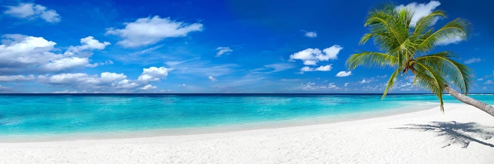 Remote Beach Wall Mural