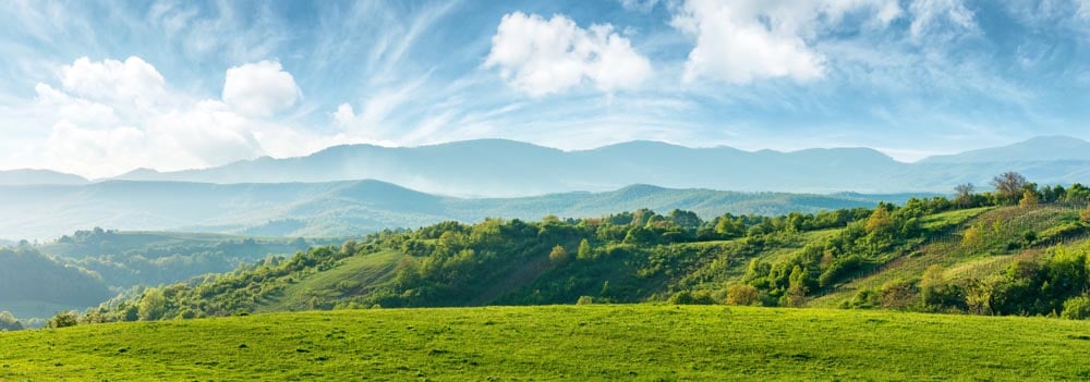 Rolling Hills Wall Mural