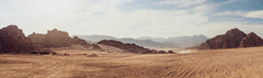 Sahara Wall Mural