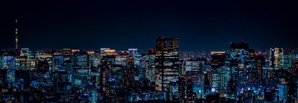 Tokyo Skyline Wall Mural