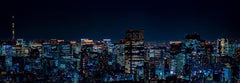 Tokyo Skyline Wall Mural