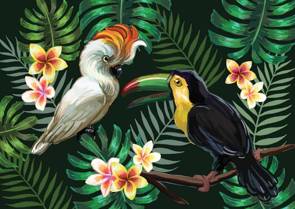 Tropical Birds Wall Mural