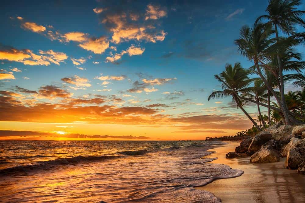 Tropical Paradise Wall Mural