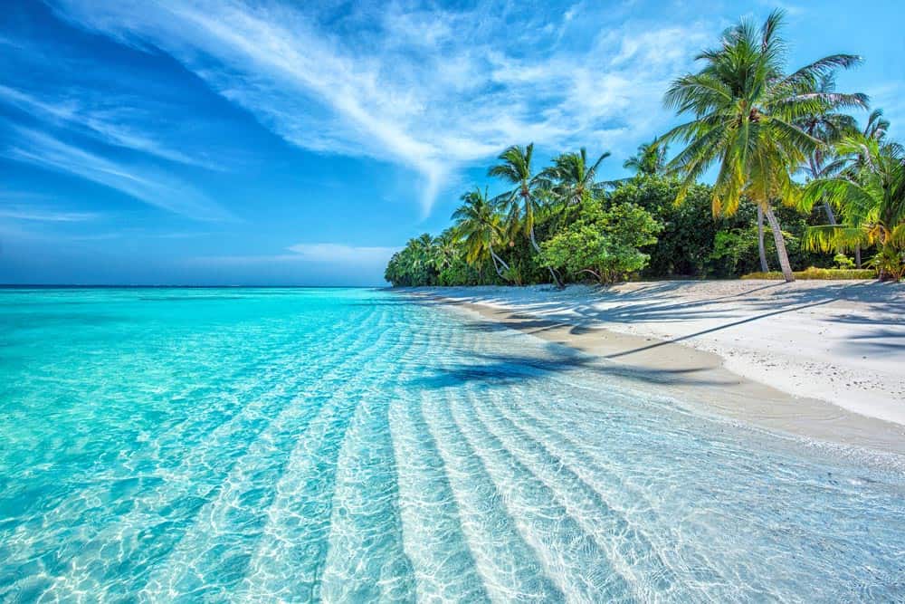 White Sand Beach Wall Mural