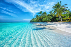 White Sand Beach Wall Mural